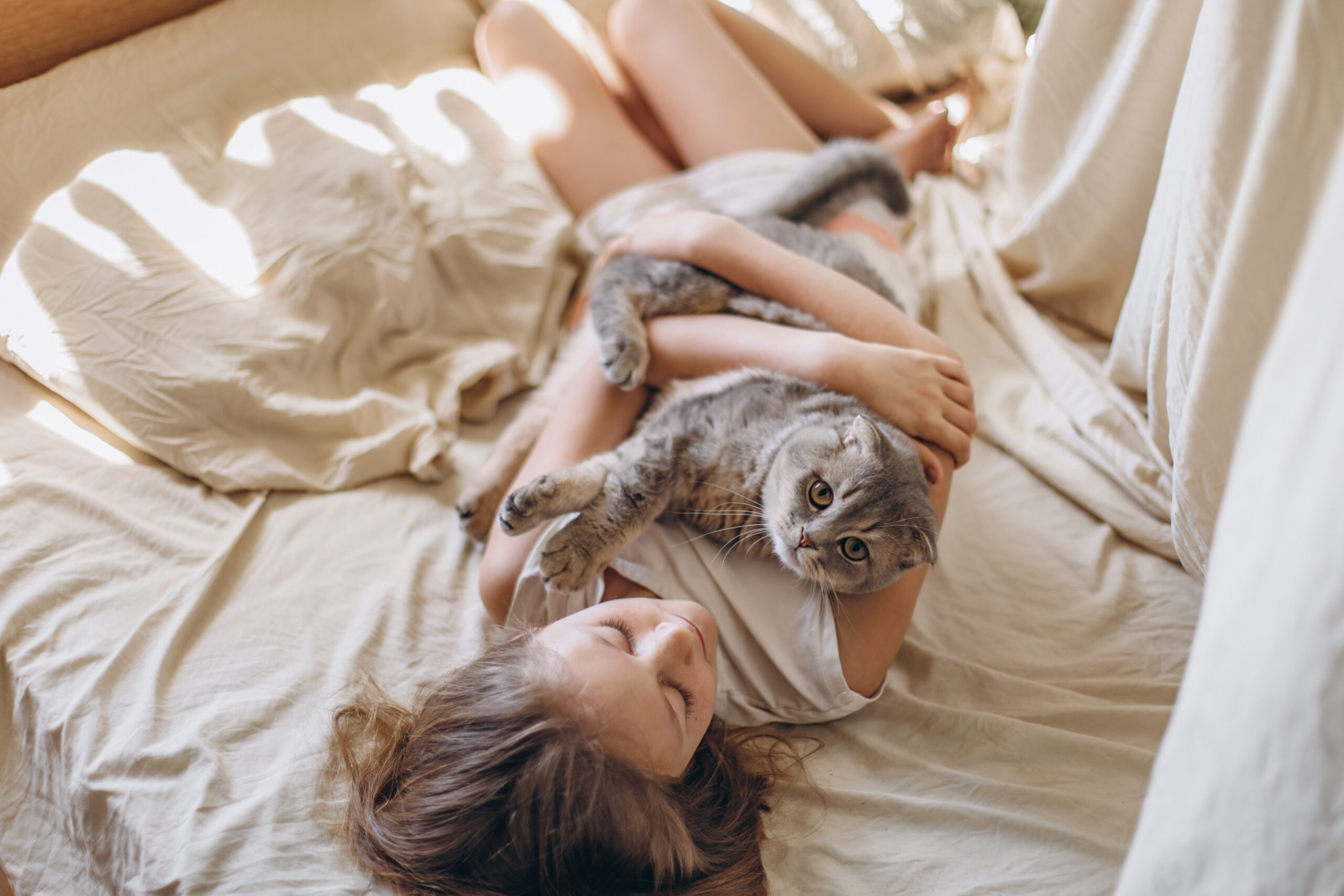 猫と心地よさそうに寝る女性